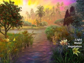 LightWaterVegetation