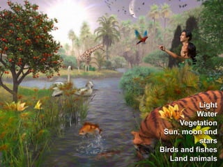 LightWaterVegetationSun, moon and starsBirds and fishesLandanimals