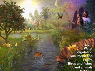 LightWaterVegetationSun, moon and starsBirds and fishesLandanimalsSabbath
