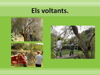 05 evcastellsantfoix