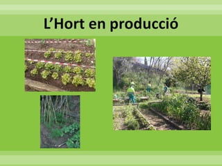 05 evcastellsantfoix