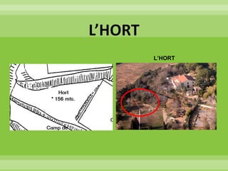 L’HORT
 