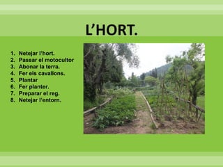 1. Netejar l’hort.
2. Passar el motocultor
3. Abonar la terra.
4. Fer els cavallons.
5. Plantar
6. Fer planter.
7. Preparar el reg.
8. Netejar l’entorn.
 