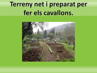 05 evcastellsantfoix