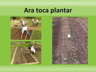 05 evcastellsantfoix