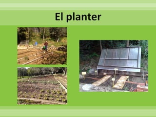 05 evcastellsantfoix