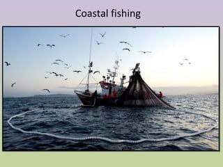 Coastal fishing
 