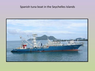 Spanish tuna boat in the Seychelles Islands
 