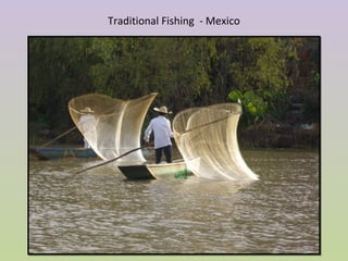Traditional Fishing - Mexico
 