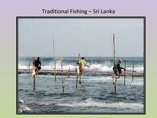 Traditional Fishing – Sri Lanka
 
