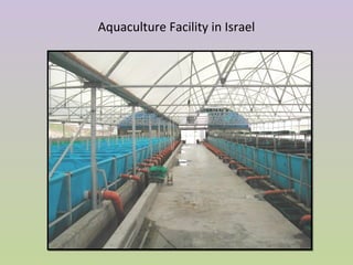 Aquaculture Facility in Israel
 