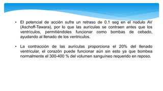 • El potencial de acción sufre un retraso de 0.1 seg en el nodulo AV
(Aschoff-Tawara), por lo que las aurículas se contraen antes que los
ventrículos, permitiéndoles funcionar como bombas de cebado,
ayudando al llenado de los ventriculos.
• La contracción de las aurículas proporciona el 20% del llenado
ventricular, el corazón puede funcionar aún sin esto ya que bombea
normalmente el 300-400 % del volumen sanguíneo requerido en reposo.
 
