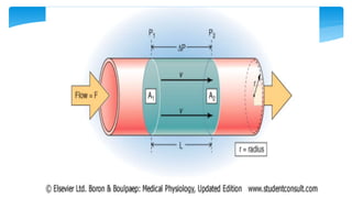 Fisiología Cardiovascular