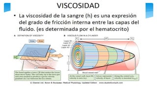 Fisiología Cardiovascular