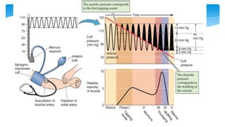 Fisiología Cardiovascular