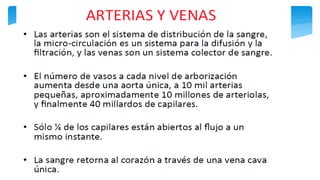 Fisiología Cardiovascular