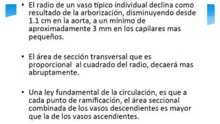 Fisiología Cardiovascular