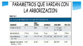 Fisiología Cardiovascular