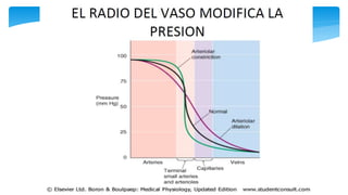 Fisiología Cardiovascular