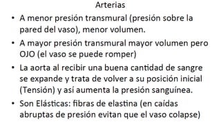 Fisiología Cardiovascular