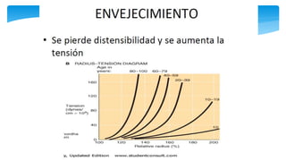 Fisiología Cardiovascular