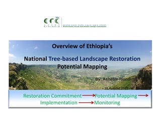 Overview of Ethiopia’s
National Tree‐based Landscape Restoration
Potential Mapping 
By; Ashebir Wondimu
28 August 2019
Restoration Commitment          Potential Mapping    
Implementation             Monitoring
 