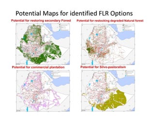 Overview of Ethiopia’s National Tree‐based Landscape Restoration ...