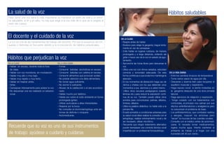05 folleto cuidado de la voz | PDF