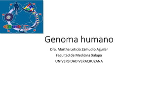 Genoma humano
Dra. Martha Leticia Zamudio Aguilar
Facultad de Medicina Xalapa
UNIVERSIDAD VERACRUZANA
 