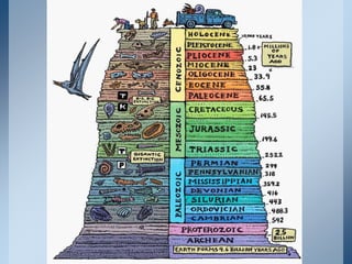 05 geologic timeline (1) | PPTX