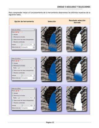 UNIDAD 5 MÁSCARAS Y SELECCIONES

Para comprender mejor el funcionamiento de la herramienta observemos las distintas muestras de la
siguiente tabla.


                                                                       Resultado selección
      Opción de herramienta                   Selección
                                                                             borrada




                                            Página 12
 