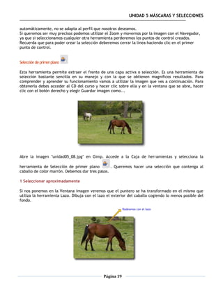 UNIDAD 5 MÁSCARAS Y SELECCIONES

automáticamente, no se adapta al perfil que nosotros deseamos.
Si queremos ser muy precisos podemos utilizar el Zoom y movernos por la imagen con el Navegador,
ya que si seleccionamos cualquier otra herramienta perderemos los puntos de control creados.
Recuerda que para poder crear la selección deberemos cerrar la línea haciendo clic en el primer
punto de control.


Selección de primer plano

Esta herramienta permite extraer el frente de una capa activa o selección. Es una herramienta de
selección bastante sencilla en su manejo y con la que se obtienen magníficos resultados. Para
comprender y aprender su funcionamiento vamos a utilizar la imagen que ves a continuación. Para
obtenerla debes acceder al CD del curso y hacer clic sobre ella y en la ventana que se abre, hacer
clic con el botón derecho y elegir Guardar imagen como...




Abre la imagen "unidad05_08.jpg" en Gimp. Accede a la Caja de herramientas y selecciona la

herramienta de Selección de primer plano         . Queremos hacer una selección que contenga al
caballo de color marrón. Debemos dar tres pasos.

1 Seleccionar aproximadamente

Si nos ponemos en la Ventana imagen veremos que el puntero se ha transformado en el mismo que
utiliza la herramienta Lazo. Dibuja con el lazo el exterior del caballo cogiendo lo menos posible del
fondo.




                                              Página 19
 