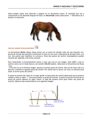 UNIDAD 5 MÁSCARAS Y SELECCIONES


Ahora puedes copiar esta selección y pegarla en un documento nuevo. El resultado que ves a
continuación se ha obtenido después de hacer un difuminado (menú Seleccionar --> Difuminar) de 3
píxeles a la selección.




Selección mediante la herramienta Bézier

La herramienta Bézier dibuja líneas rectas con un punto de anclaje cada vez que hacemos clic,
puntos de anclaje que permiten transformar la recta en una curva. Cada punto de anclaje tiene, a su
vez, dos puntos que modifican la curvatura. Estos dos puntos de control (manejadores) pueden
moverse por separado o de forma conjunta.

Para comprender su funcionamiento vamos a crear una ruta en una imagen. Abre GIMP y crea un
archivo nuevo con el fondo blanco y de tamaño 400x200 píxeles. Selecciona la herramienta de Rutas

     y haz clic en la Ventana imagen, aparece el primer punto de control. Haz clic de nuevo más a la
derecha y tendrás el segundo punto de control. Por último haz un tercer clic más a la derecha para
tener un tercer punto de control.

Si pones el puntero del ratón en un lugar donde no haya punto de control observarás que el puntero
cambia y tiene un signo "+" (sirve para añadir un punto de control). Si pones el puntero encima de un
punto de control aparece un signo "mover" al lado del puntero (sirve para mover ese punto de
control). Observa esas características en la siguiente imagen.




                                              Página 22
 