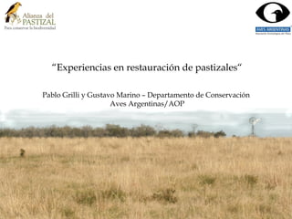 “Experiencias en restauración de pastizales“
Pablo Grilli y Gustavo Marino – Departamento de Conservación
Aves Argentinas/AOP
 