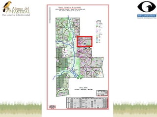 Nuestro trabajo reciente
 