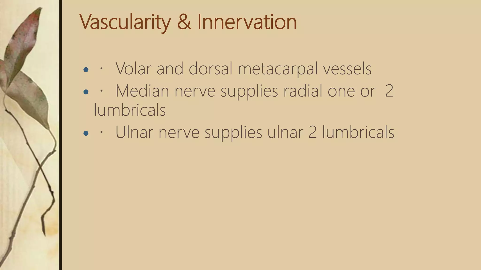 Vascularity & Innervation
 Volar and dorsal metacarpal vessels
 Median nerve supplies radial one or 2
lumbricals
 Ulnar nerve supplies ulnar 2 lumbricals
 