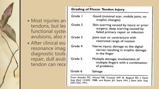  Most injuries are open injuries to the flexor or extensor
tendons, but less frequent injuries, e.g., damage to the
functional system tendon sheath and pulley or dull
avulsions, also need to be considered.
 After clinical examination, ultrasound and magnetic
resonance imaging have proved to be important
diagnostic tools. Tendon injuries mostly require surgical
repair, dull avulsions of the distal phalanges extensor
tendon can receive conservative therapy.
 