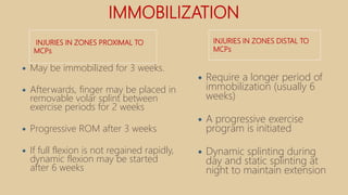 IMMOBILIZATION
INJURIES IN ZONES PROXIMAL TO
MCPs
INJURIES IN ZONES DISTAL TO
MCPs
 May be immobilized for 3 weeks.
 Afterwards, finger may be placed in
removable volar splint between
exercise periods for 2 weeks
 Progressive ROM after 3 weeks
 If full flexion is not regained rapidly,
dynamic flexion may be started
after 6 weeks
 Require a longer period of
immobilization (usually 6
weeks)
 A progressive exercise
program is initiated
 Dynamic splinting during
day and static splinting at
night to maintain extension
 