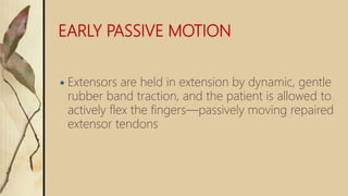 EARLY PASSIVE MOTION
 Extensors are held in extension by dynamic, gentle
rubber band traction, and the patient is allowed to
actively flex the fingers—passively moving repaired
extensor tendons
 