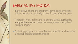 EARLY ACTIVE MOTION
 Early active short arc program (developed by Evans)
allows tendon to actively move 3 days after surgery
 Therapist must take care to ensure stress applied by
early active motion does not overpower strength of
surgical repair
 Splinting program is complex and specific and requires
a skilled occupational therapist
 