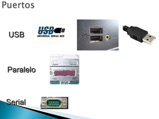 USB Serial Paralelo 