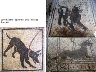 Cave Canem - Beware of Dog – mosaics
Pompeii
 