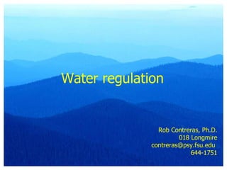 Water regulation Rob Contreras, Ph.D. 018 Longmire contreras@psy.fsu.edu  644-1751 