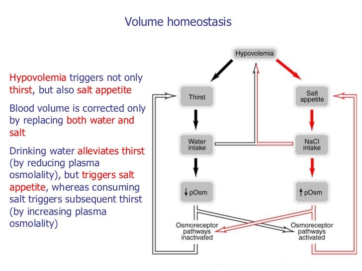 HOMEOSTASIS