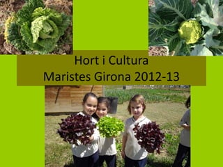 Hort i Cultura
Maristes Girona 2012-13

 