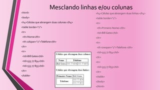 Mesclando linhas e/ou colunas
<html>
<body>
<h4>Células que abrangem duas colunas:</h4>
<table border="1">
<tr>
<th>Nome</th>
<th colspan="2">Telefone</th>
</tr>
<tr>
<td>Bill Gates</td>
<td>555 77 854</td>
<td>555 77 855</td>
</tr>
</table>
<h4>Células que abrangem duas linhas:</h4>
<table border="1">
<tr>
<th>Primeiro Nome:</th>
<td>Bill Gates</td>
</tr>
<tr>
<th rowspan="2">Telefone:</th>
<td>555 77 854</td>
</tr>
<tr>
<td>555 77 855</td>
</tr>
</table>
</body>
</html>
 