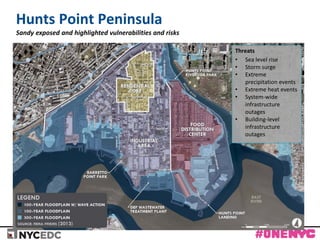 Hunts Point | PDF