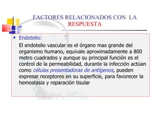 FACTORES RELACIONADOS CON  LA  RESPUESTA Endotelio: El endotelio vascular es el órgano mas grande del organismo humano, equivale aproximadamente a 800 metro cuadrados y aunque su principal función es el control de la permeabilidad, durante la infección actúan como  células presentadoras de antígenos , pueden expresar receptores en su superficie, para favorecer la hemostasia y reparación tisular 