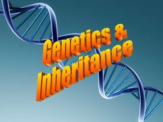 Genetics & Inheritance 
