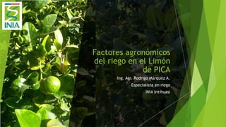 Factores agronómicos
del riego en el Limón
de PICA
Ing. Agr. Rodrigo Márquez A.
Especialista en riego
INIA Intihuasi
 